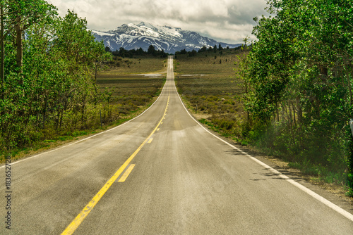 The Road through Monitor Pass