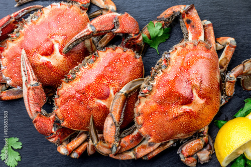 Cooked whole crabs on black plate served with white wine, black slate background, top view