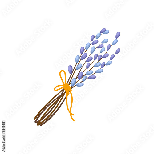Bunch of flowering pussy willow branches tied with a yellow ribbon, Easter decoration element, cartoon vector illustration isolated on white background. Easter bouquet of pussy willow branches