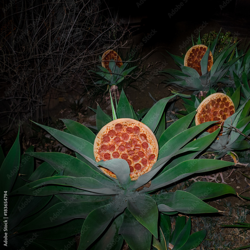 Pizza plant deals