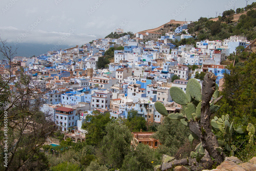 Fototapeta premium Traditional moroccan courtyard in Chefchaouen blue city medina in Morocco, architectural details in Blue town Chaouen. Typical blue walls and colorful flower pots.