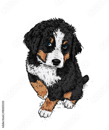 A handsome puppy. Vector illustration. Painted thoroughbred dog. Hipster.