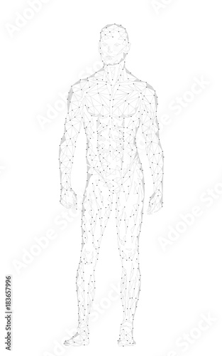 Strong healthy human body standing 3D model low poly design. Android robot humanoid optimal perfect man fitness sport shape. Polygonal geometric point line particle white gray vector illustration
