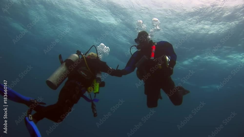 Silhouette of men and girls scuba divers underwater in Galapagos. Unique beautiful relax diving. Water sports in world of wildlife. Silhouette of men and girls scuba divers underwater in Galapagos. Unique beautiful relax diving. Water sports in world of wildlife.