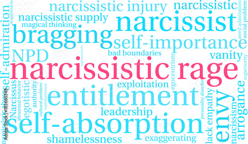 Narcissistic Rage Word Cloud on a white background.