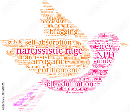 Narcissistic Rage Word Cloud on a white background. 