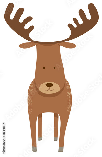 deer or moose cartoon animal character