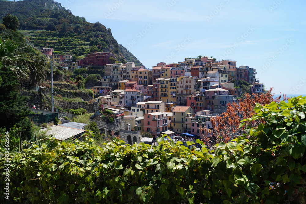 View of Manarola, Cinque Terre, Italy