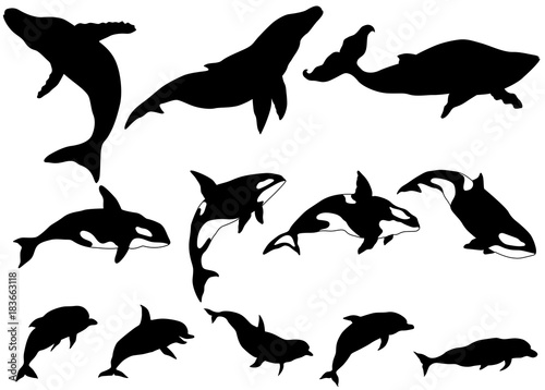 Set of whale, killer whale, dolphin Silhouettes