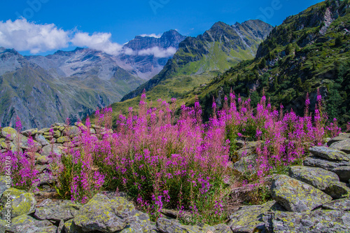 toolshed brunet,valais,swiss photo