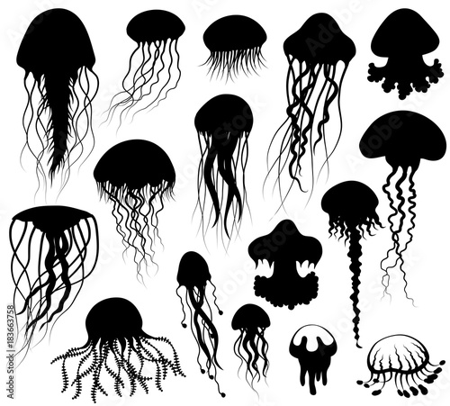 Obraz na płótnie Set of jellyfish Silhouettes