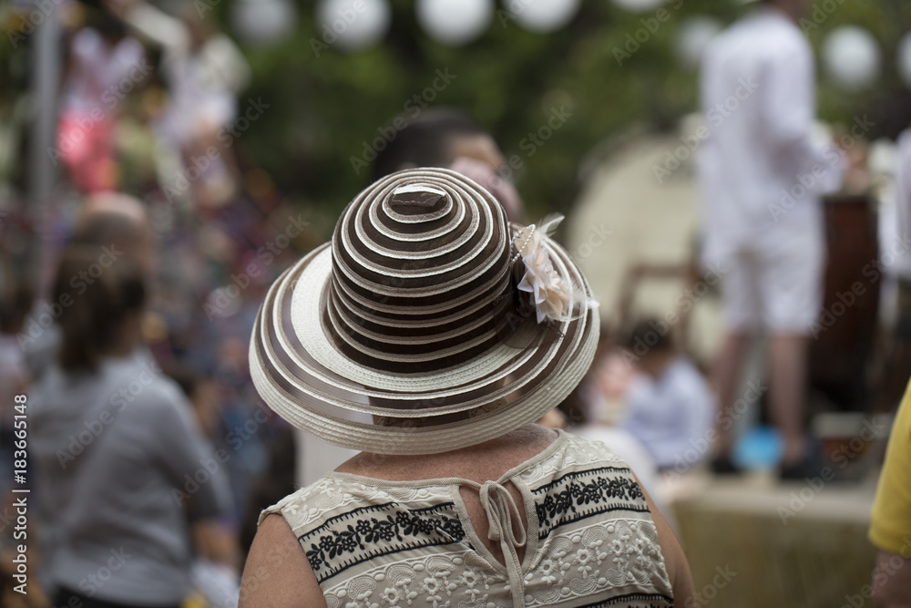 Rear view of a woman with hat