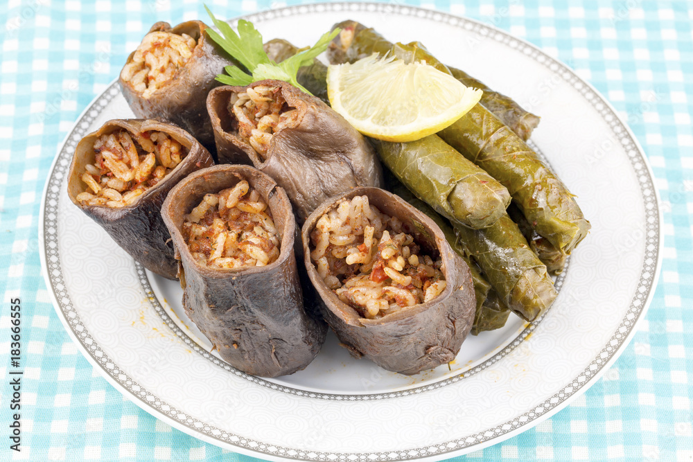 Türk Yemekleri; kuru patlıcan dolması 