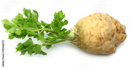 celery root with leaf isolated on white background. Celery isolated on white. Healthy food