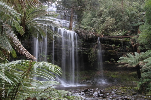 фотографія waterfall in south tasmania