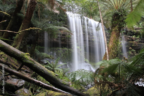 waterfall in south tasmania