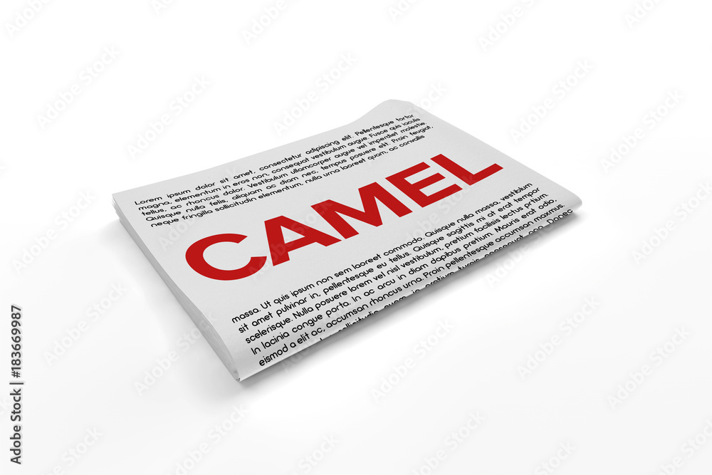 Camel on Newspaper background Camel on Newspaper background