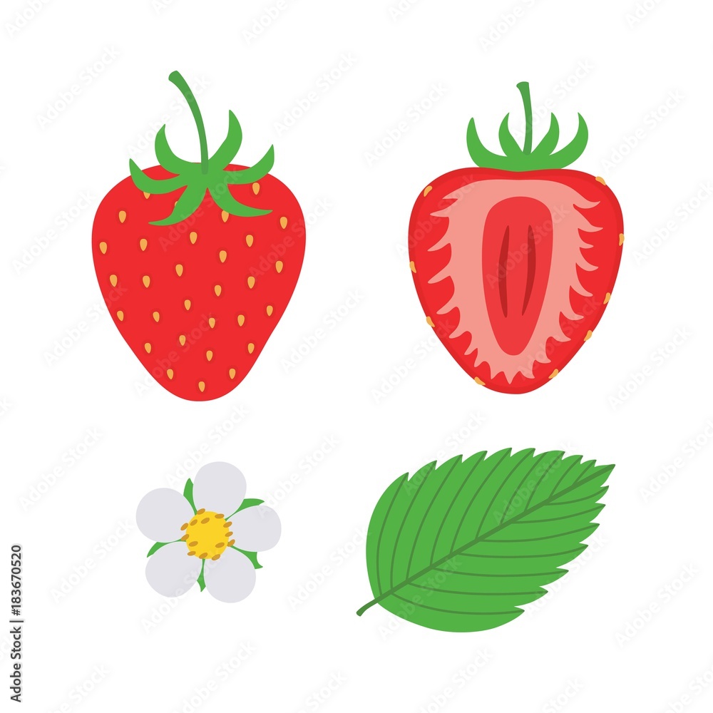 red berry strawberry and a half of strawberry. Set flower, petal, strawberry red berry strawberry and a half of strawberry. Set flower, petal, strawberry