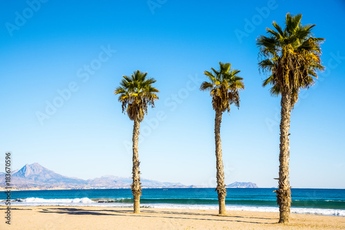 View of San Juan beach in Alicante  Spain a sunny and calm winter morning without clouds and with temperate temperature.