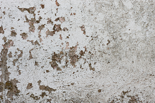 The old,white, grey grunge concrete texture or background. Copy space. graphical resource. © Alex