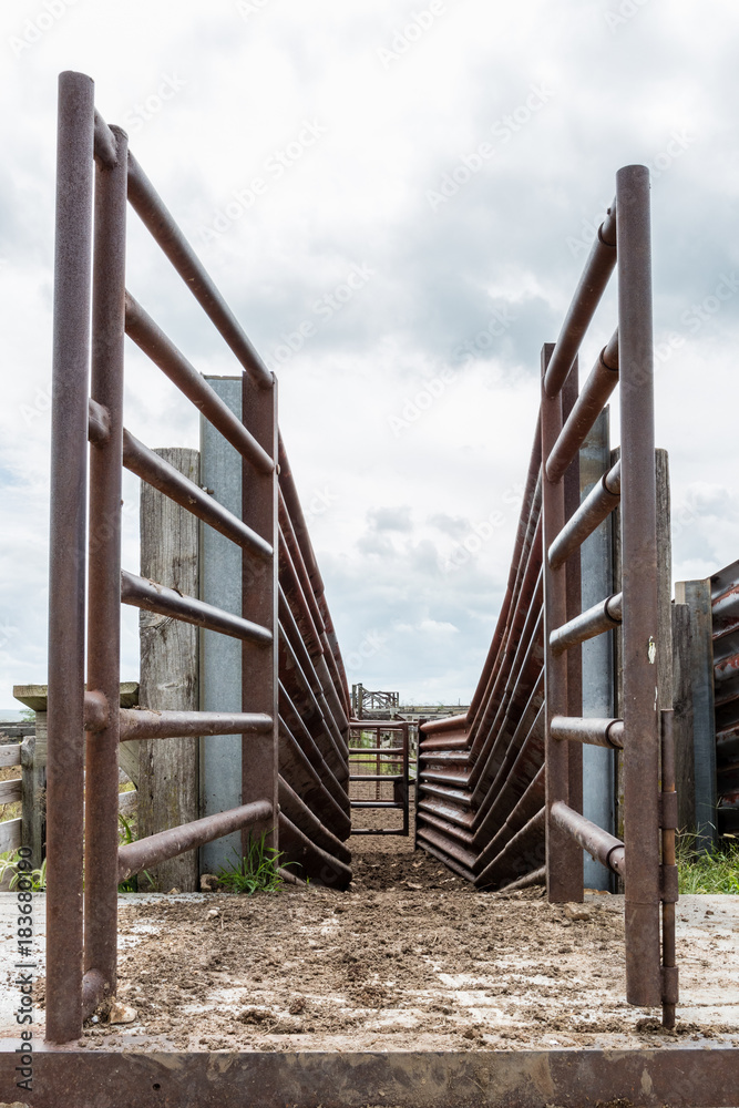 Entrance to a cattle ramp that leads to a corral from the cows point of view. Entrance to a cattle ramp that leads to a corral from the cows point of view.