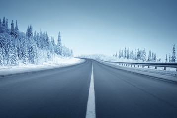 road in winter forest