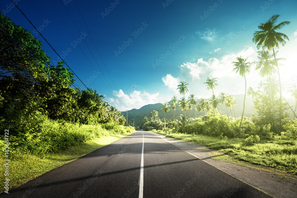 Obraz premium empty road in jungle of Seychelles islands