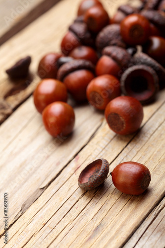 Dried acorn scattered on wooden table.Autumn background.Closeup.Copy space.Selective focus © vania_zhukevych