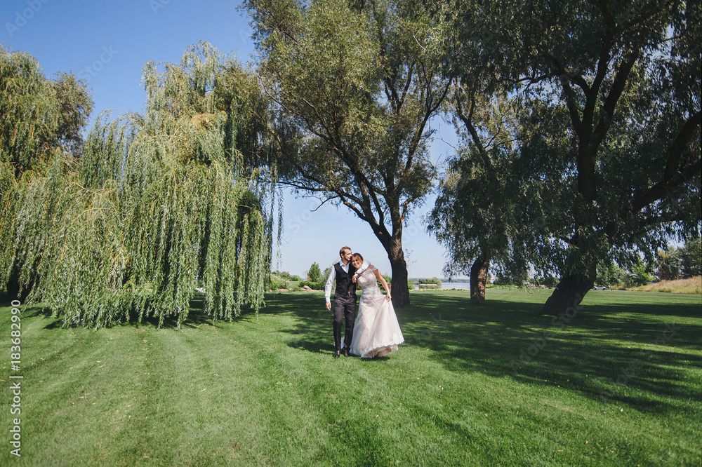 Just married loving couple in wedding dress and suit on green field. Happy bride and groom walking and kissing in the summer meadow. Just married loving couple in wedding dress and suit on green field. Happy bride and groom walking and kissing in the summer meadow.