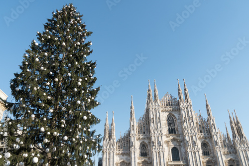 Christmas tree in front of Milan cathedral, Duomo square in a sunny day of december
