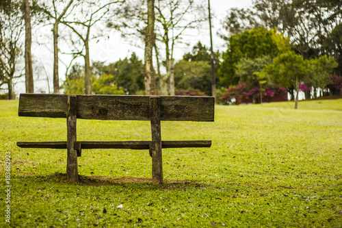 wood bench in a park