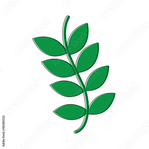 branch with green leaves nature vector illustration
