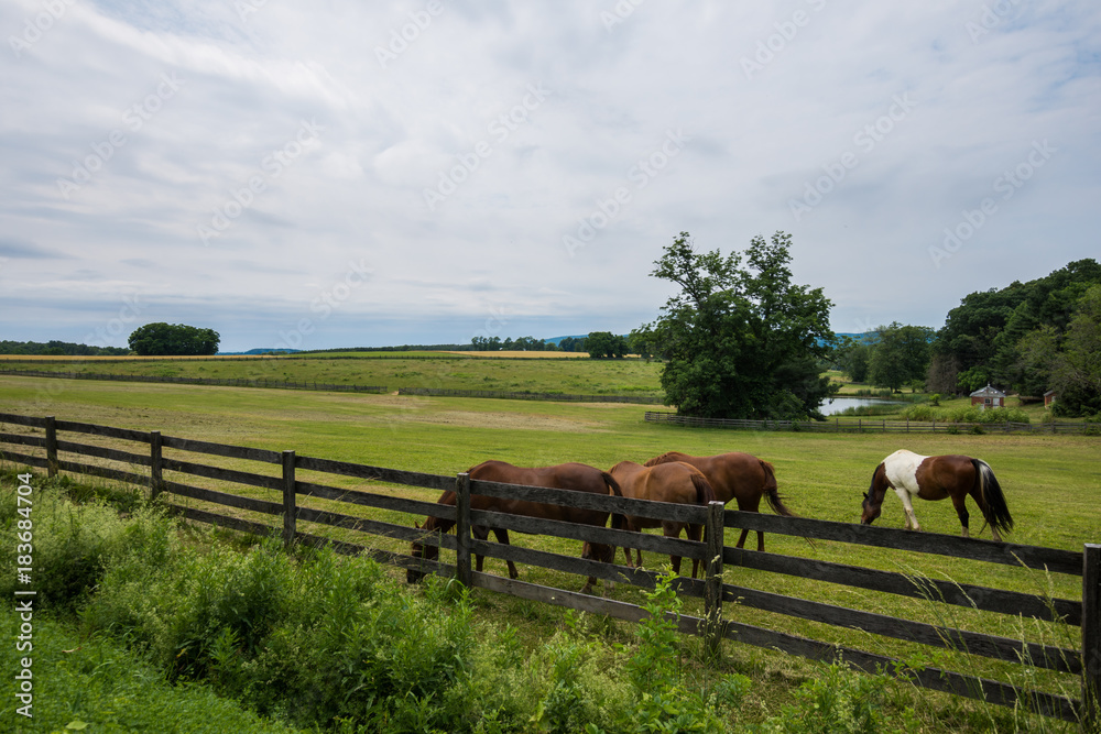 Obraz premium Rural Country York County Pennsylvania Farmland, on a Summer Day