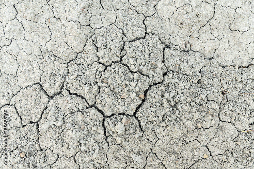 Severely dried cracked earth the concept of global drought, natural disasters, environmental problems, drought closeup Severely dried cracked earth the concept of global drought, natural disasters, environmental problems, drought closeup