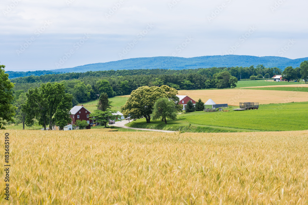 Fototapeta premium Rural Country York County Pennsylvania Farmland, on a Summer Day