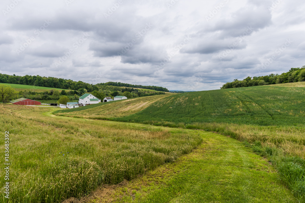 Rural Landscape of Hartford County Farmland in Northern Maryland