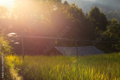 Longji rice terraces, Guangxi province, China photo