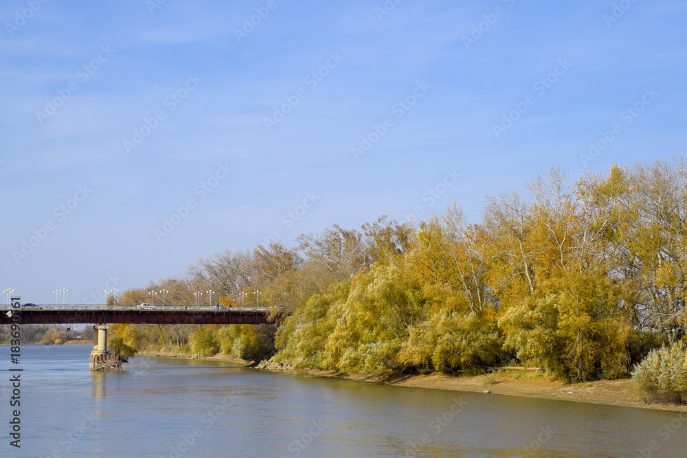 Fototapeta premium Autumn landscape. River bank with autumn trees. Poplars on the b