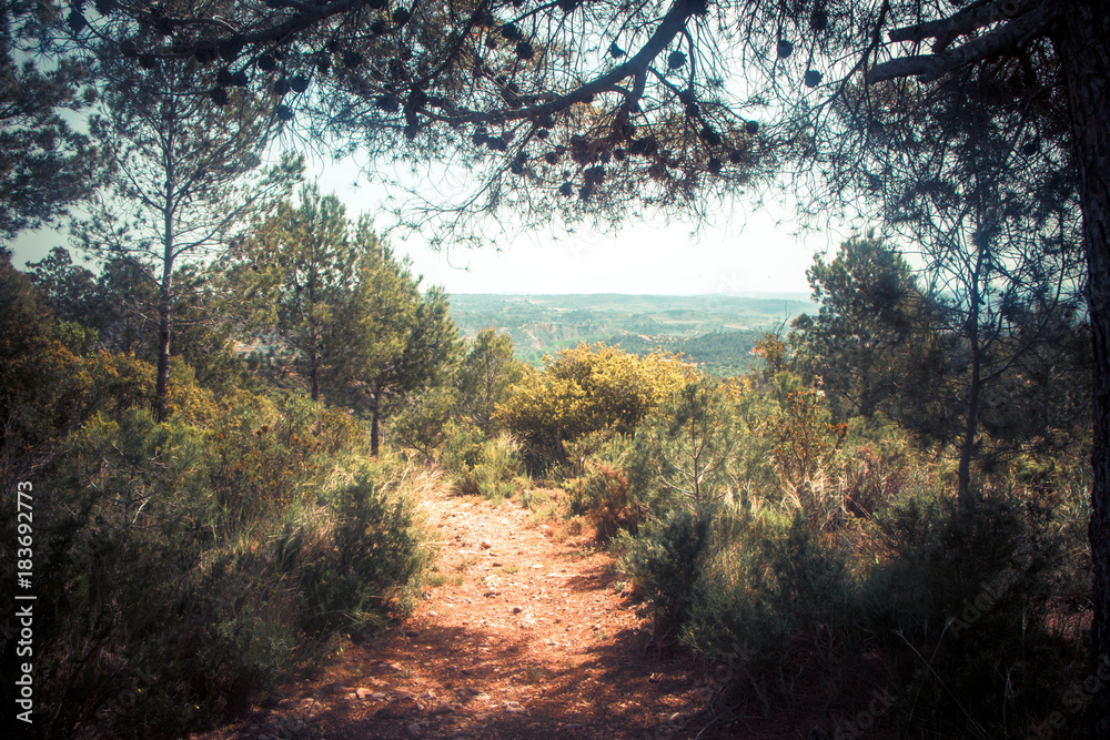 Obraz premium Paisaje desde la montaña