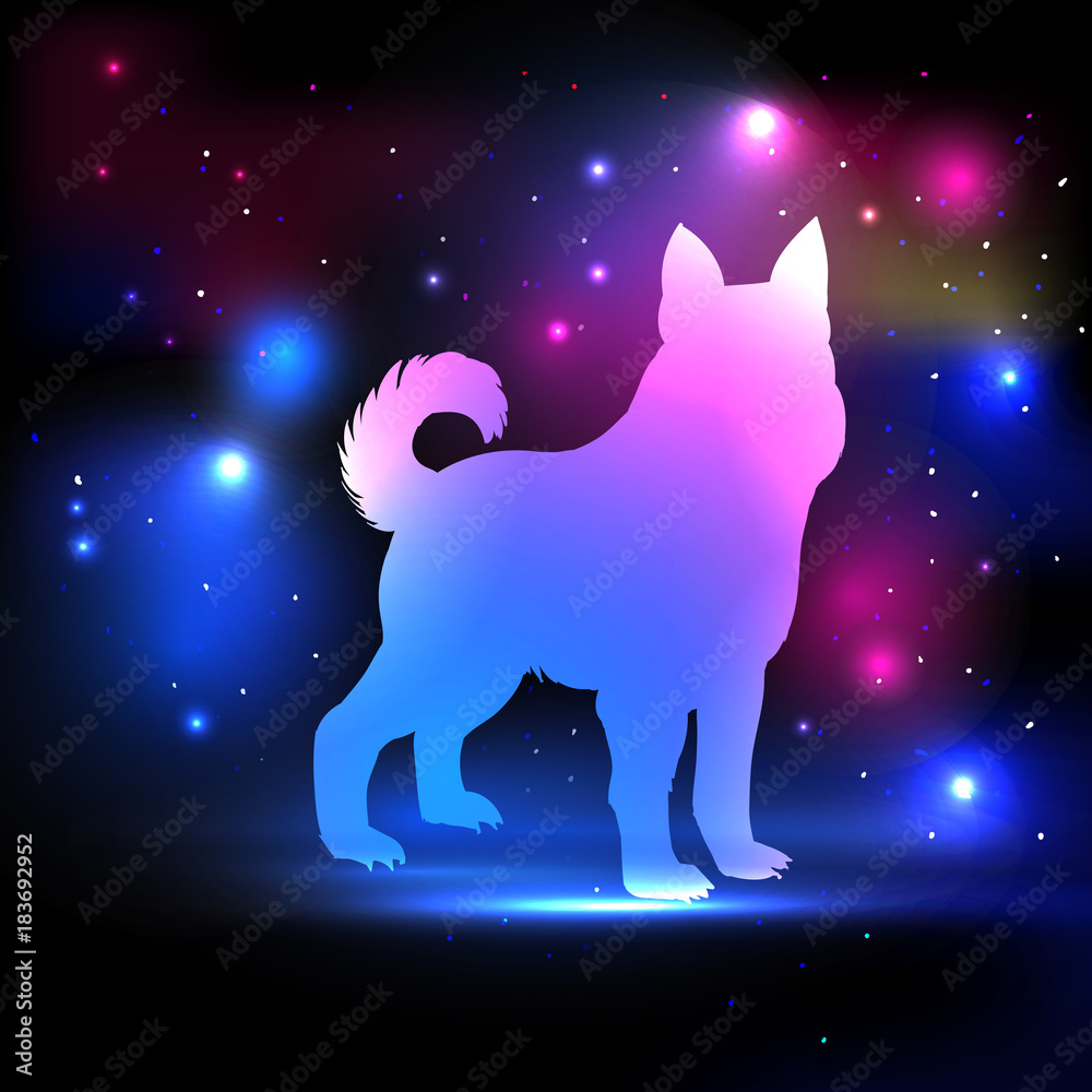 Magic dog with 2018 New Year inscription on the night sky with lights and  stars. Dog pink and blue silhouette hologram for postcards, greeting cards  Stock Vector | Adobe Stock