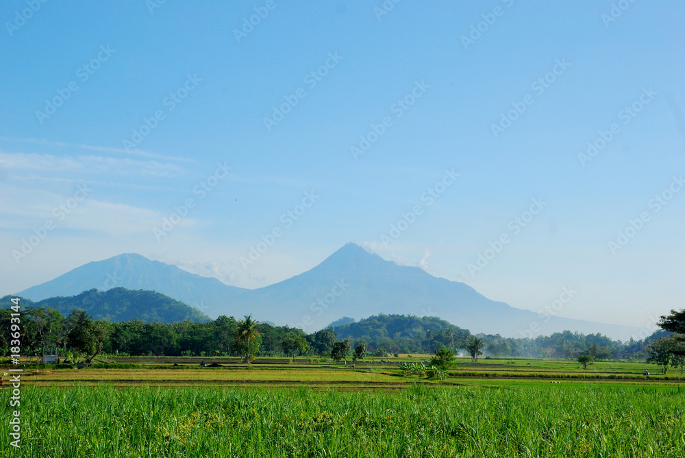 Fototapeta premium the landscape of Mount Merapi