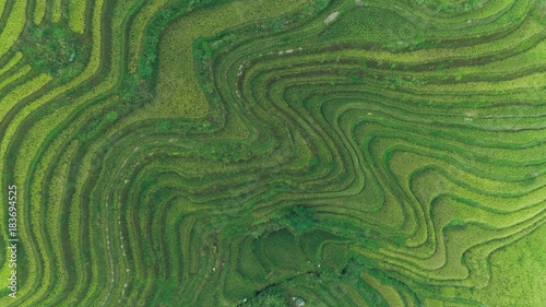 Longji rice terraces, Guangxi province, China