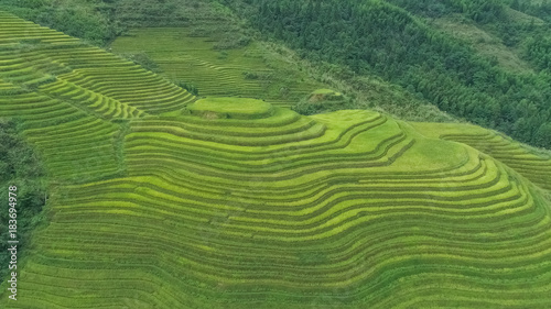 Longji rice terraces, Guangxi province, China photo