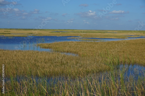 Florida Everglades sawgrass swamp prairie photo
