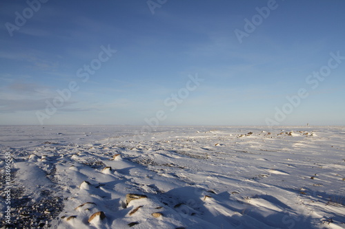 Winter arctic landscape with snow on the ground near Arviat, Nunavut © Sophia