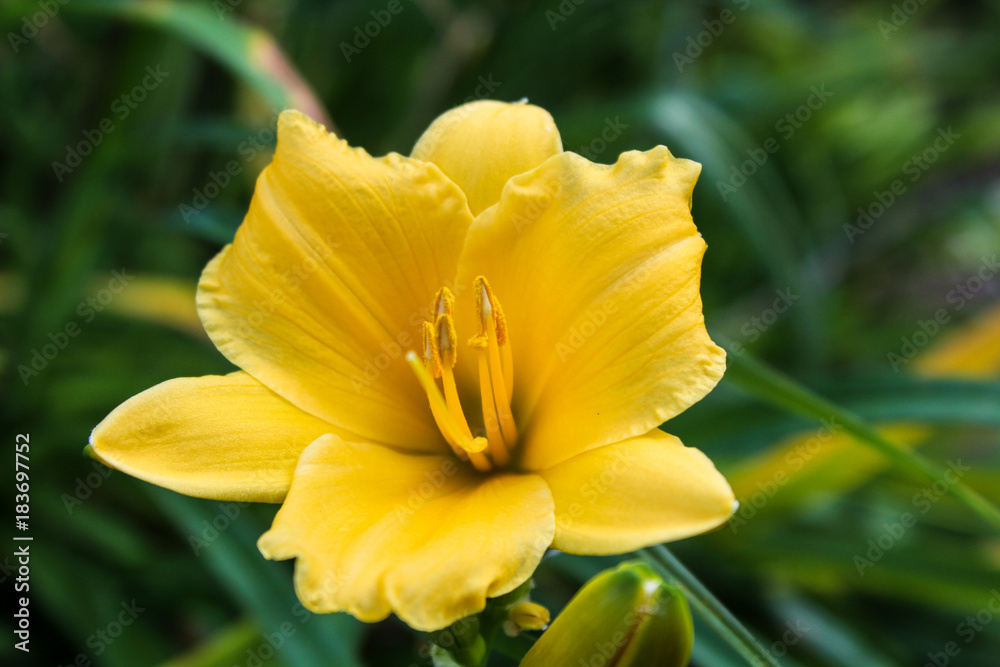 Fototapeta premium Sharp Dressed Man