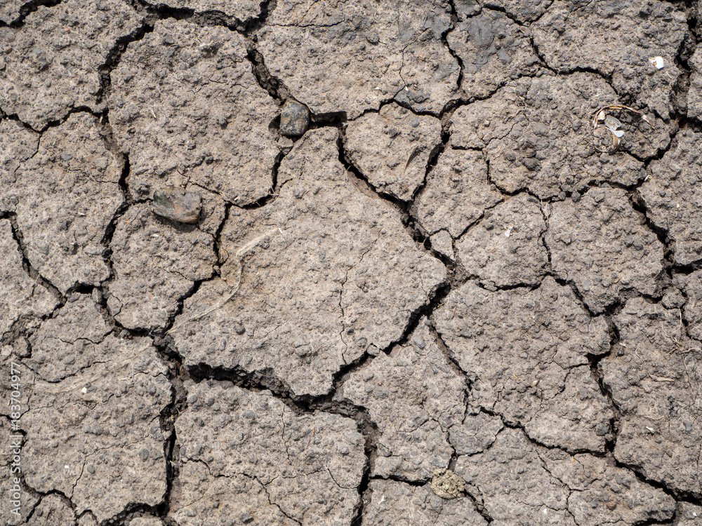 Dried cracked earth soil ground texture background.Crack soil on dry season, Global worming effect. Dried cracked earth soil ground texture background.Crack soil on dry season, Global worming effect.