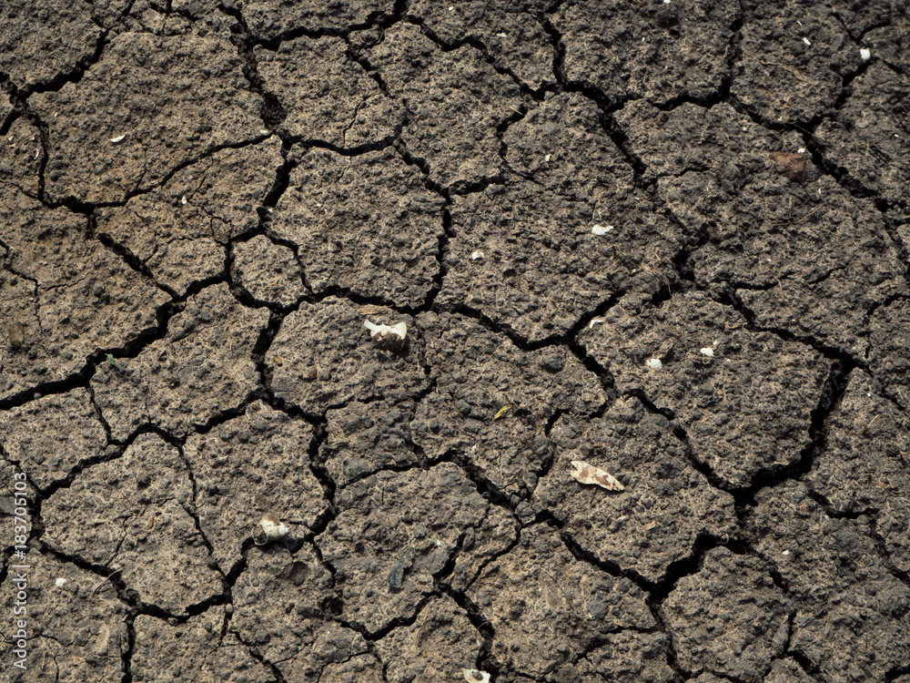 Dried cracked earth soil ground texture background.Crack soil on dry season, Global worming effect. Dried cracked earth soil ground texture background.Crack soil on dry season, Global worming effect.