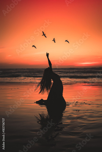 Silhouetted girl on beach with birds and at sunset