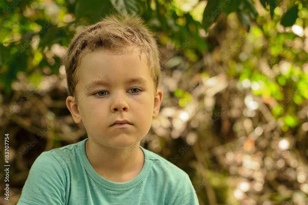 Little handsome boy, lowered green eyes, blonde hair. Sits outdoor, looks  sad. Stock Photo | Adobe Stock